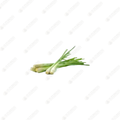 Lemongrass