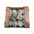 Cauliflower