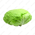 Taiwan Cabbage
