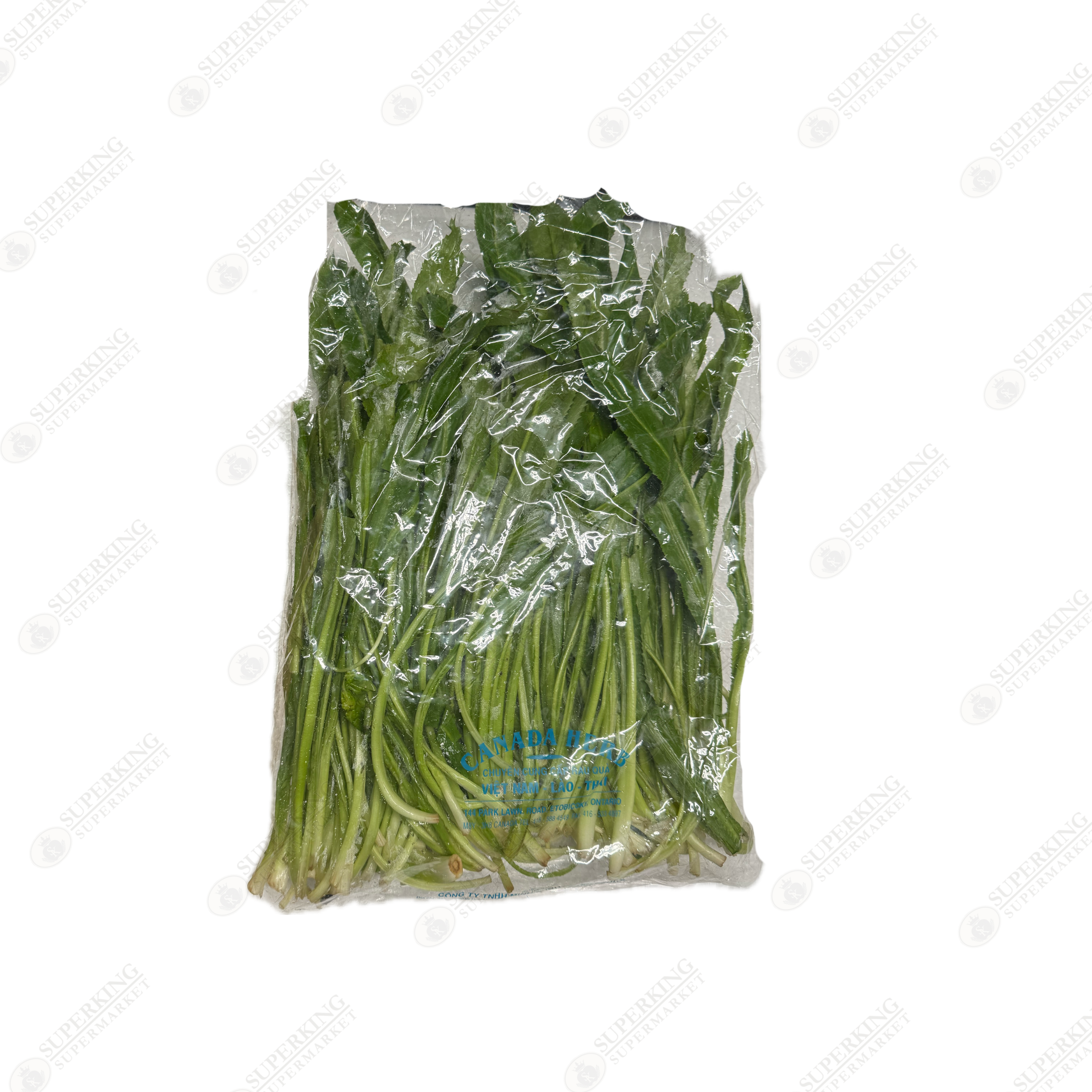 Sawtooth Herb (Ng√≤ gai)