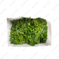 Parsley