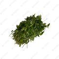 Finger Mint (Rau RƒÉm)