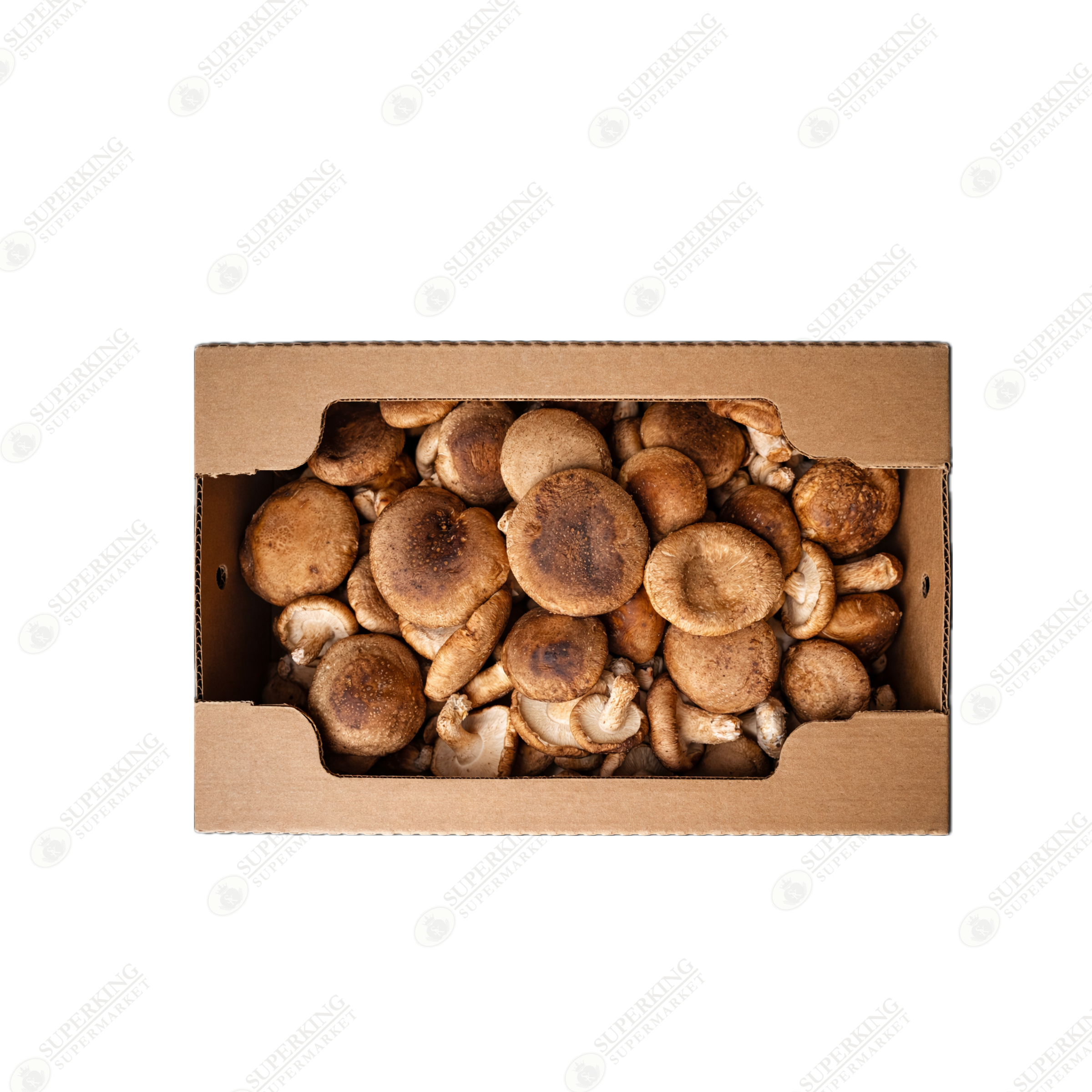 Shiitake Mushroom (Large)