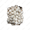 White Mushrooms