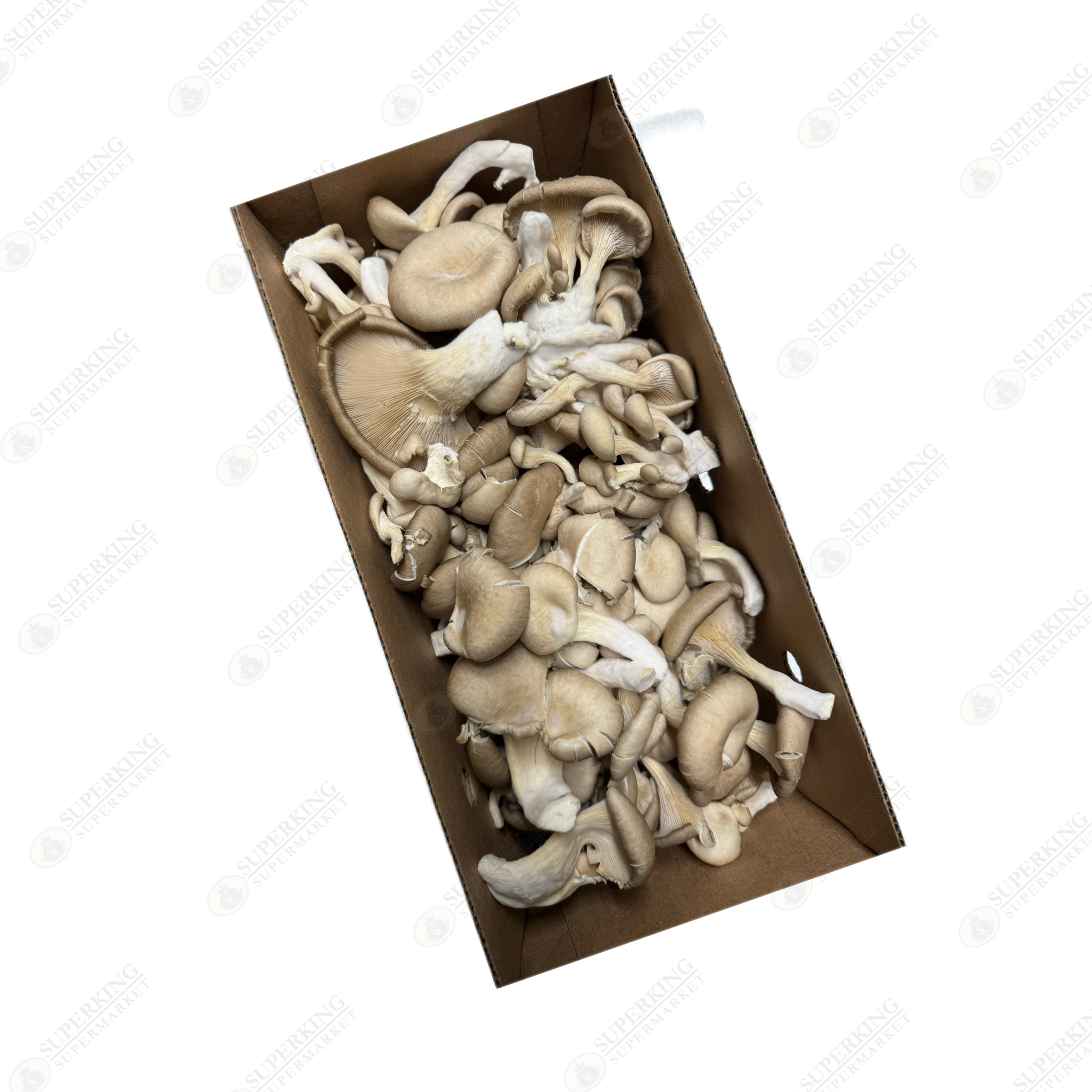 Oyster Mushroom