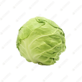 Chinese Cabbage