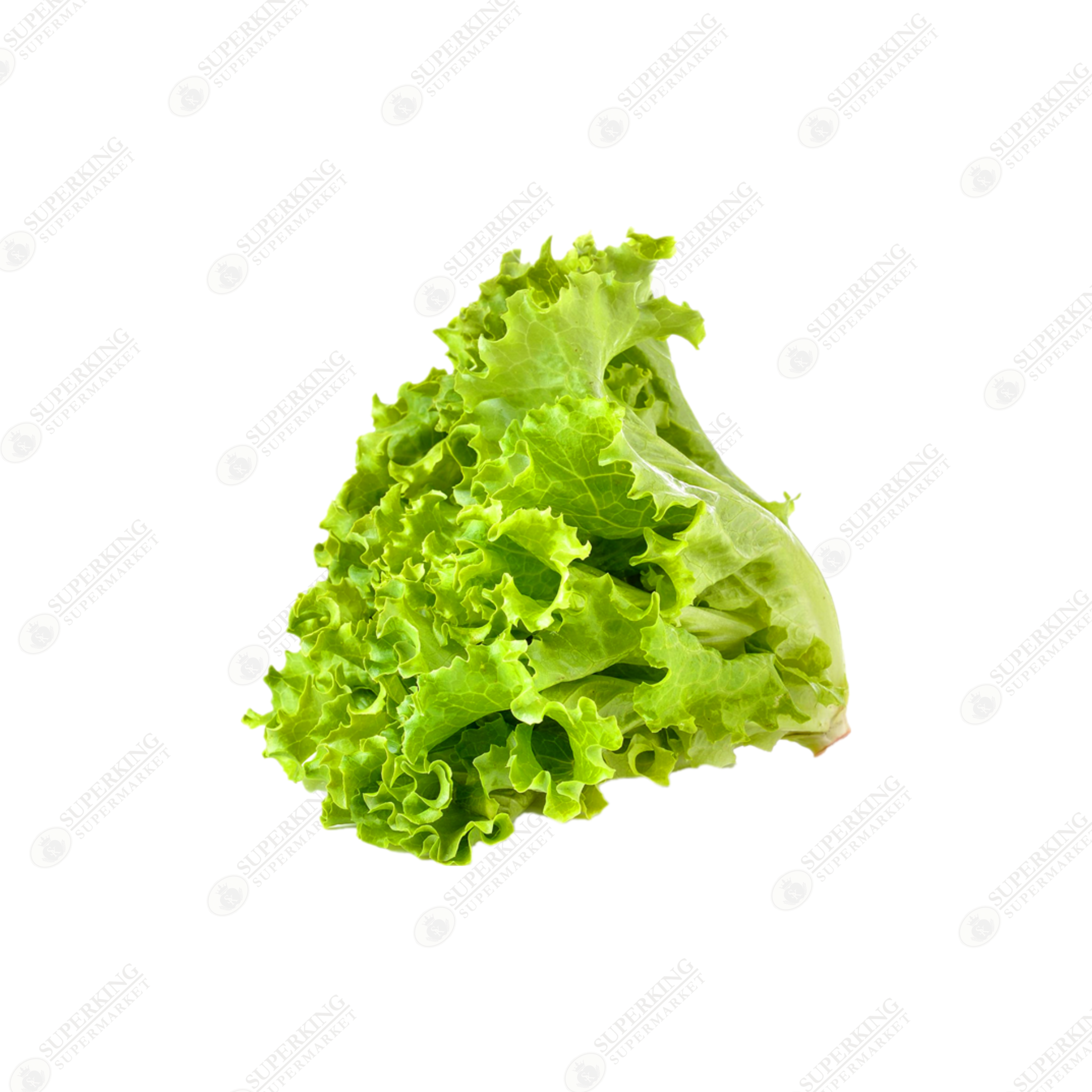 Leaf Lettuce