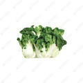 Baby Bok Choy Tips Â•∂Ê≤πËãó