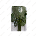Pocket Leaves