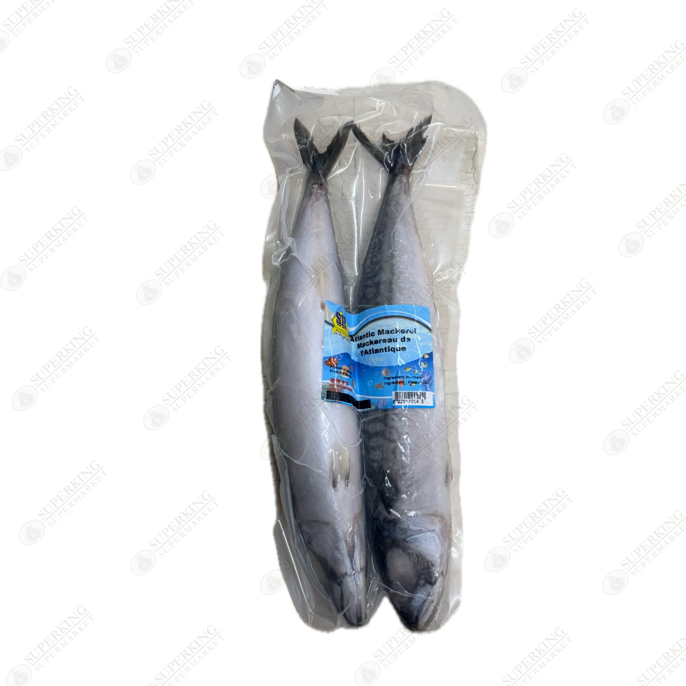 Frozen Atlantic Mackerel
