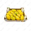 Ataulfo Mango (Case)