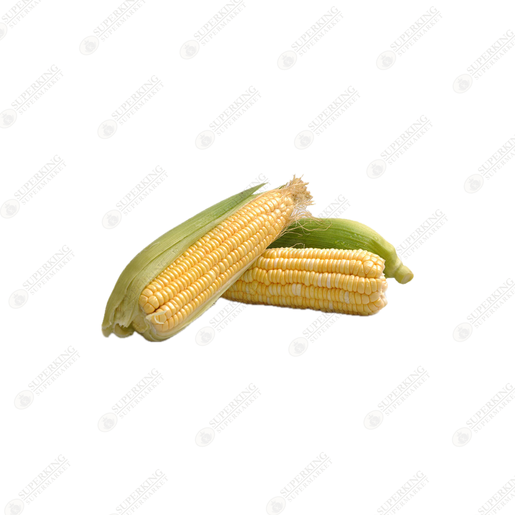 Fresh Corn on the Cob (Pack of 5)