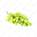 Green Seedless Grapes