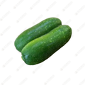 Gross Melon 毛瓜