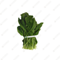 Spinach (Rootless)