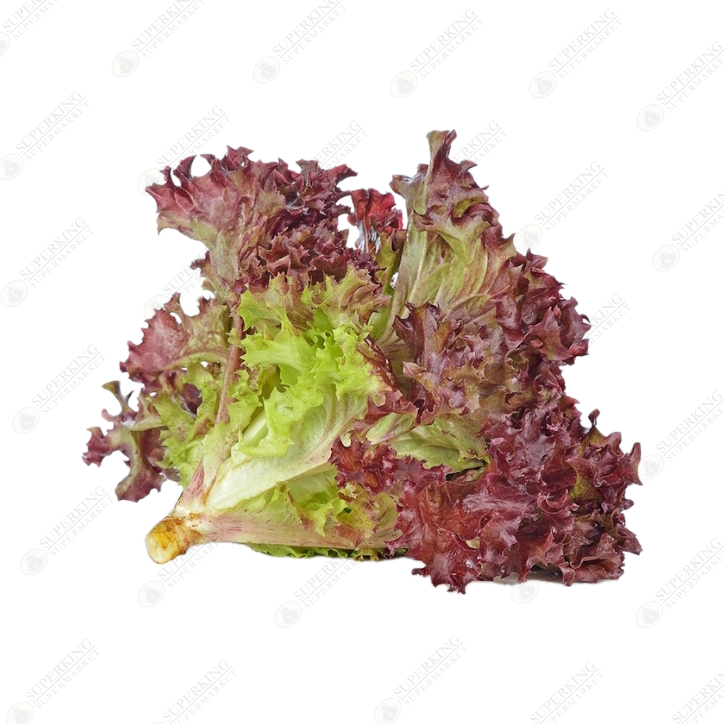 Red Leaf Lettuce