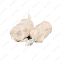 Whole Garlic