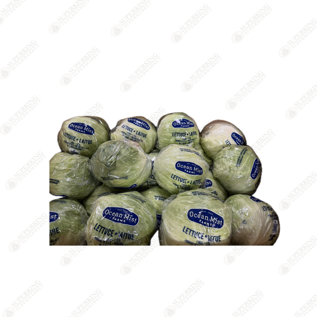 Jumbo Lettuce