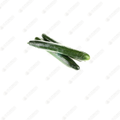 English Cucumbers